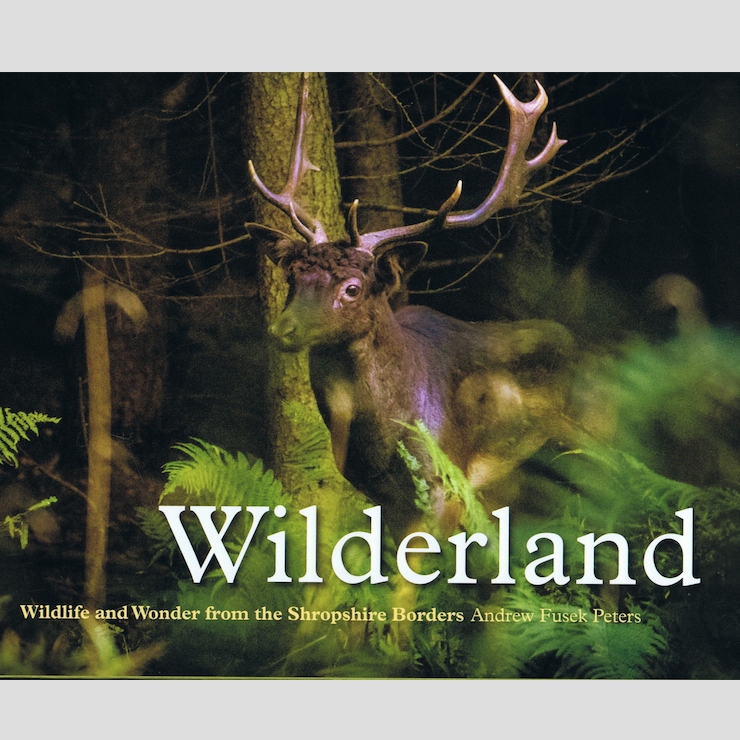 Book: Wilderland